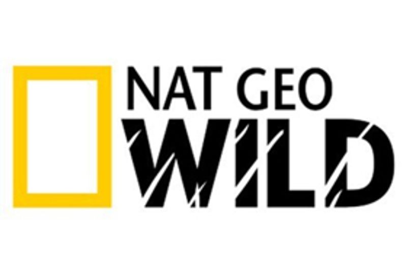 National Geographic WILD and Sun Valley Film Festival Launch Sixth Annual WILD Image
