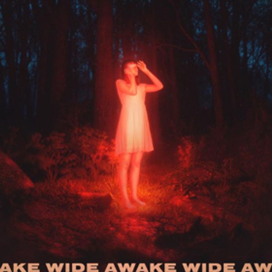 Petit Biscuit Confronts Collision Of Nature and Digital On Genre-Bending WIDE AWAKE Image