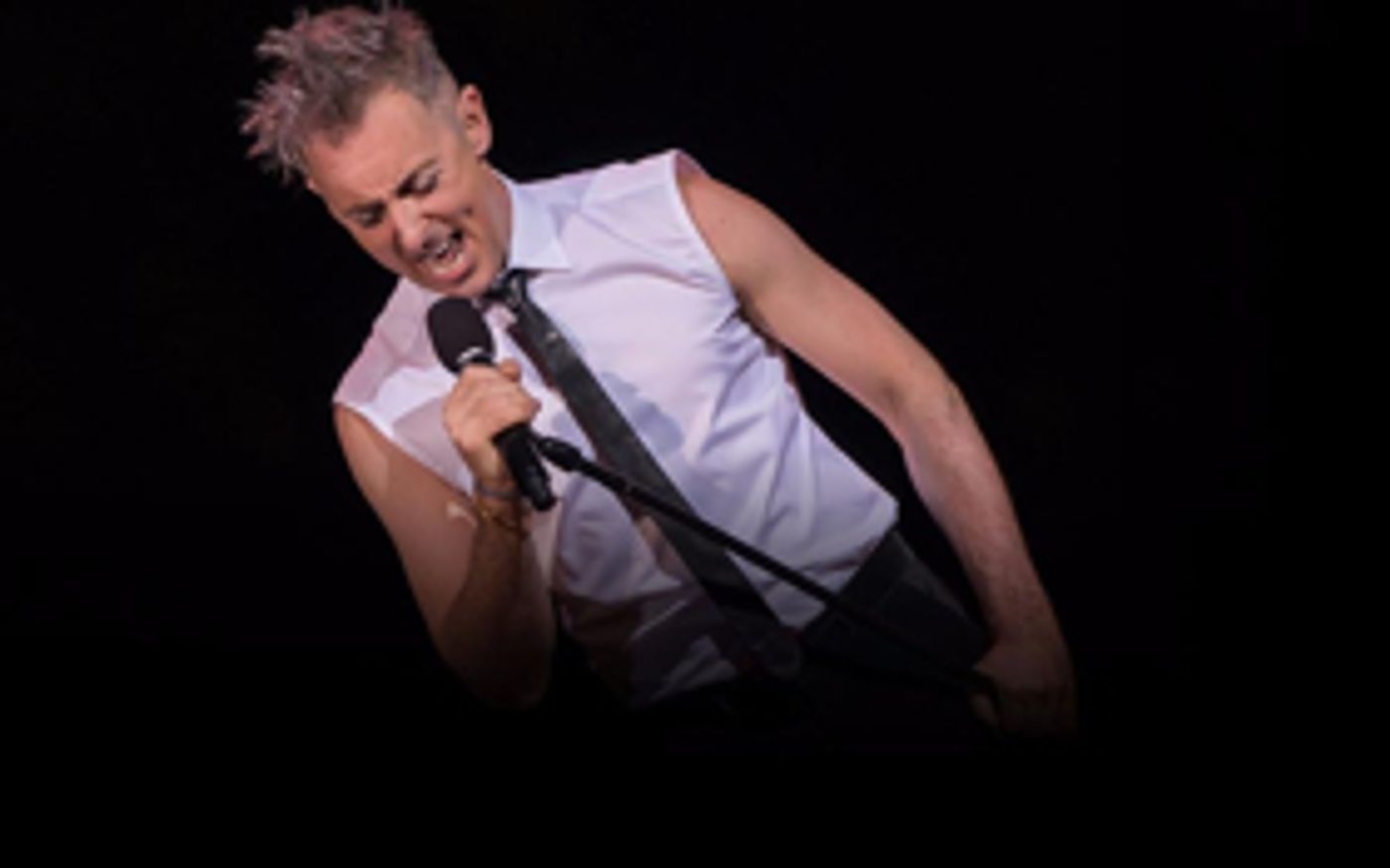 Alan Cumming, The Civilians, Shaina Taub and More Coming Up This Month at Joe's Pub  Image