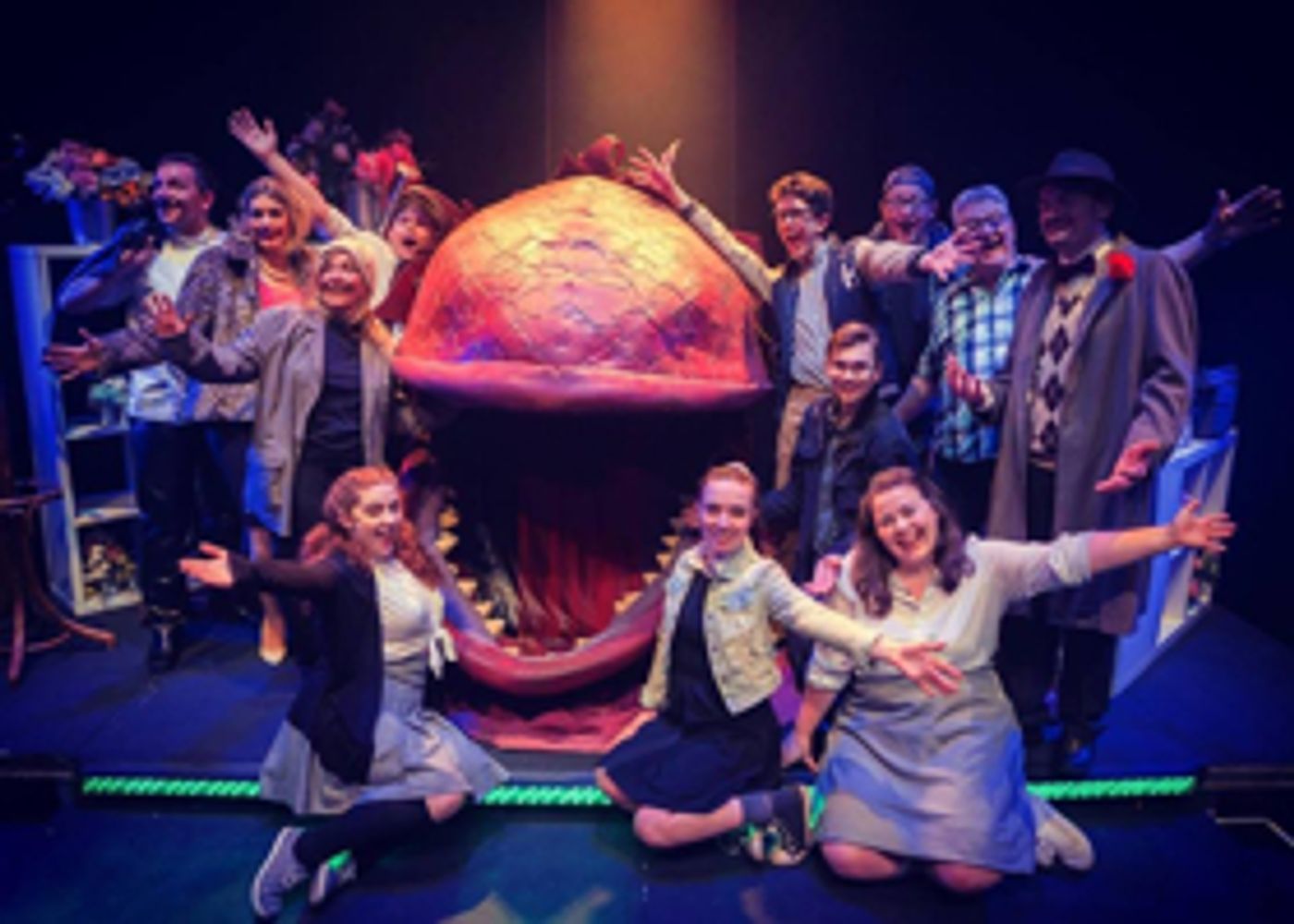 Review: Little Shop of Horrors, Cumbernauld Theatre  Image