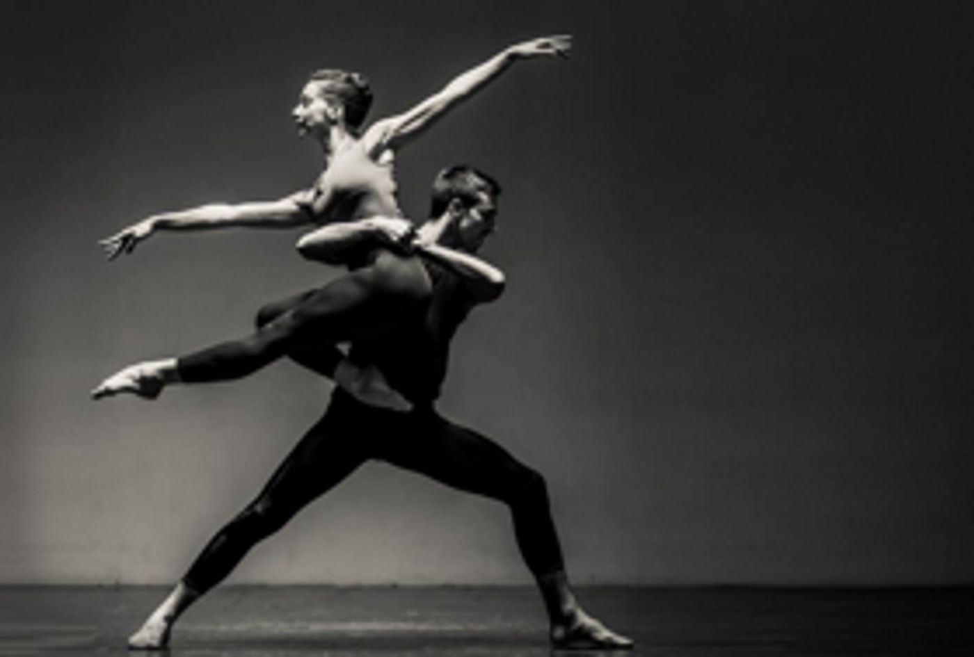 Yorke Dance Project Celebrates 20th Anniversary at Theatre Royal Winchester Yorke Dance Project Celebrates 20th Anniversary at Theatre Royal Winchester Image