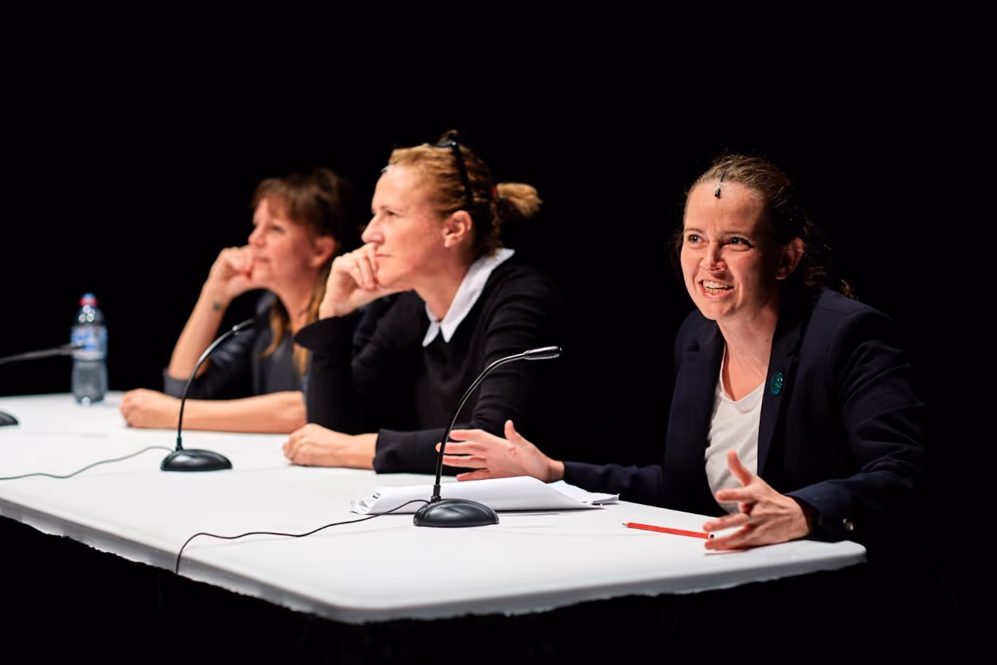 Review: WILD BORE, Soho Theatre  Image