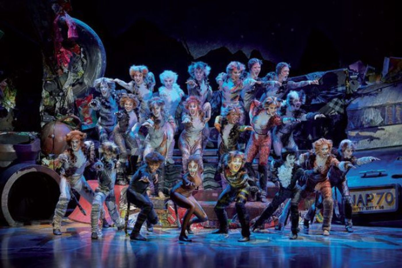 Review: CATS at Palais 12 Review: CATS at Palais 12 Image