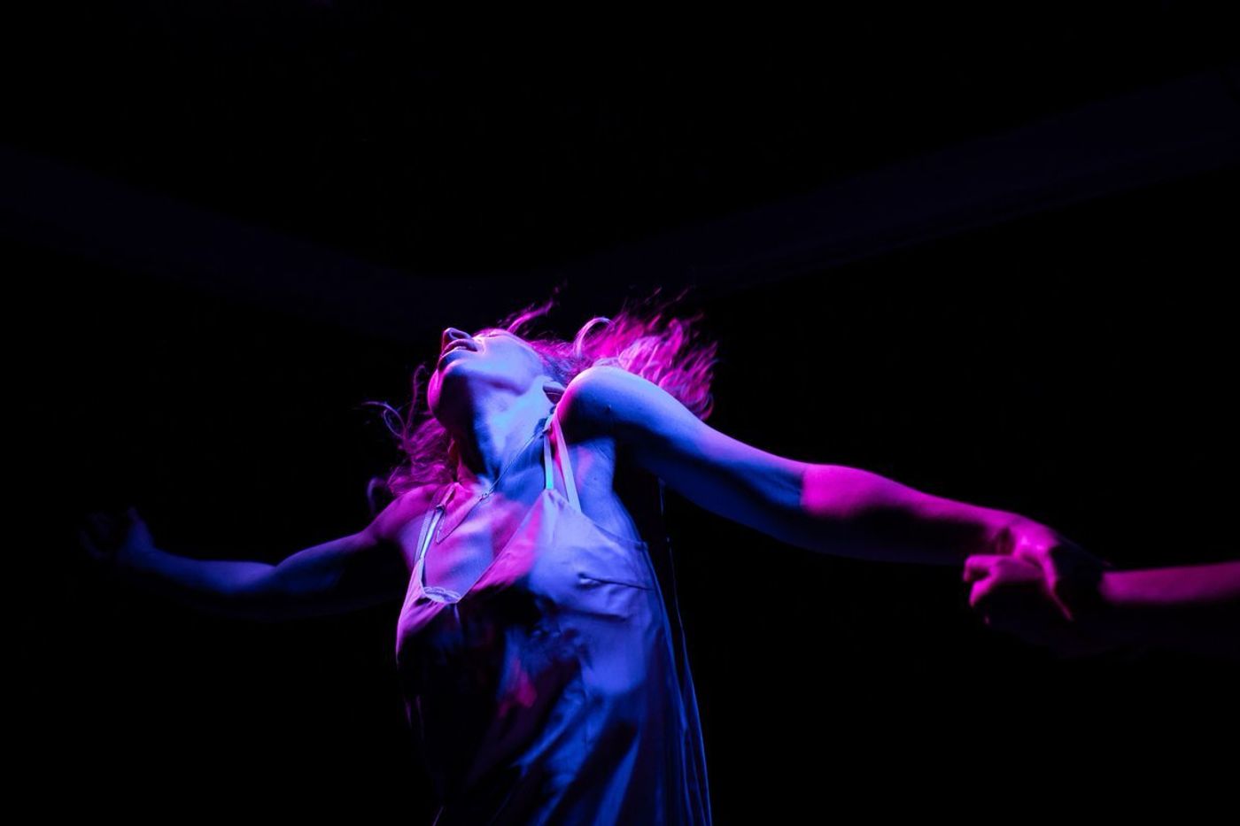 Review: SOFT ANIMALS, Soho Theatre Review: SOFT ANIMALS, Soho Theatre Image