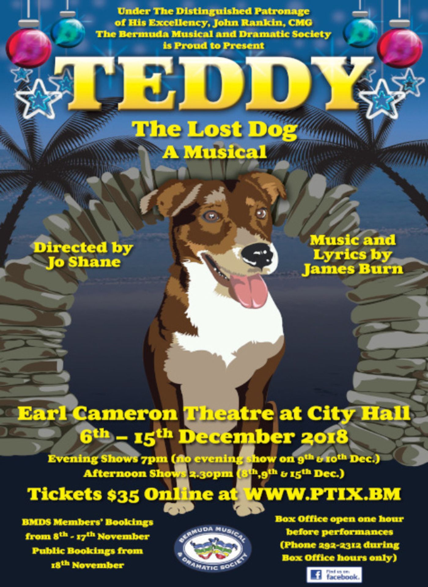 TEDDY THE LOST DOG Currently Playing at Earl Cameron Theatre at City Hall in Bermuda  Image