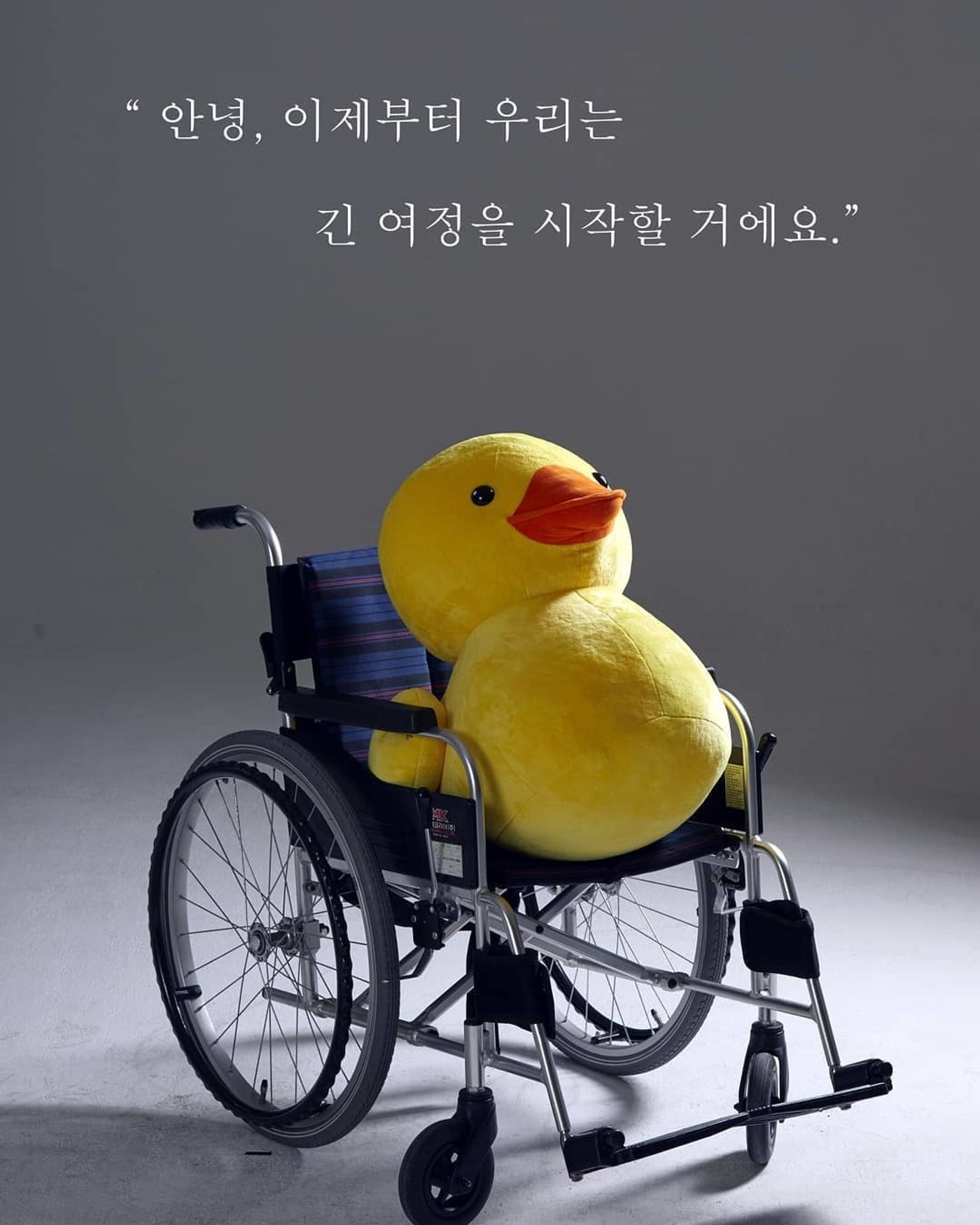 Review: KILL ME NOW at Sejong Cultural Center S Theater, 'I Have a Right to Choose...'  Image