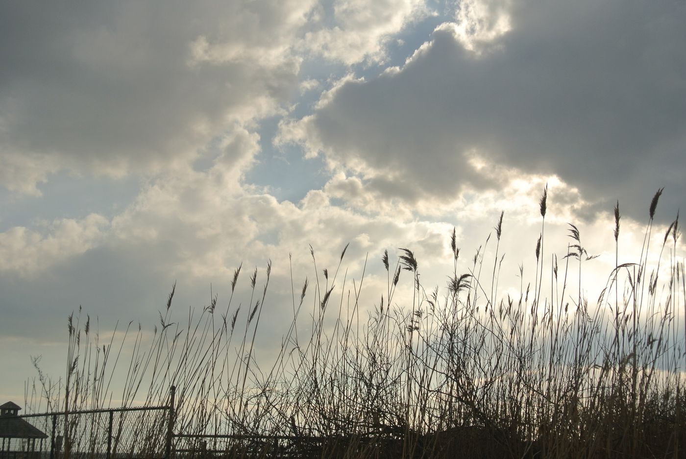 Summer Stages: Jaime's Spring/Summer Picks! Summer Stages: Jaime's Spring/Summer Picks! Image