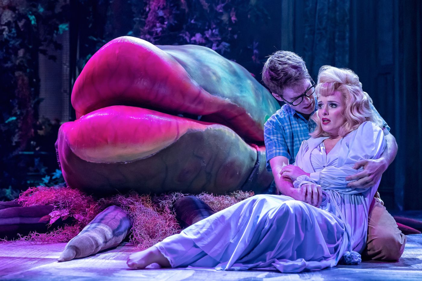 Review: LITTLE SHOP OF HORRORS at Drury Lane Theatre Review: LITTLE SHOP OF HORRORS at Drury Lane Theatre Image
