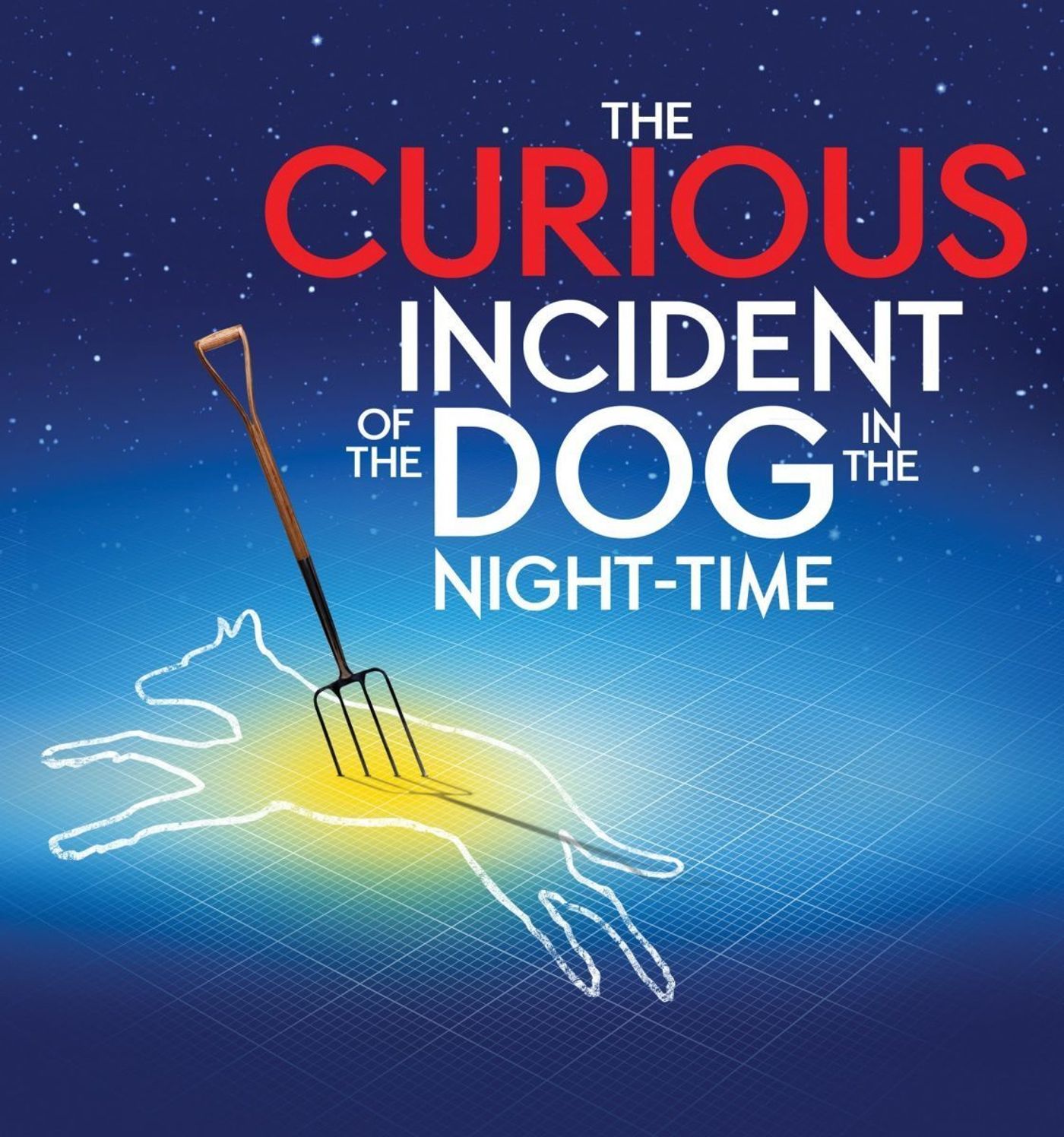 Feature: THE CURIOUS INCIDENT OF THE DOG IN THE NIGHT-TIME at SOME THEATRE COMPANY, ORONO  Image