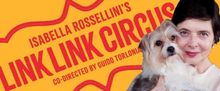 Isabella Rossellini Exploring LINKs, PORNO & a Masters