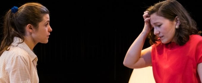 Photo Flash: The Associates World Premiere of SHEILA at A.R.T./New York Theatres Photos