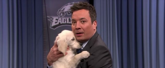 VIDEO: Puppies Predict the Super Bowl for Jimmy Fallon Video
