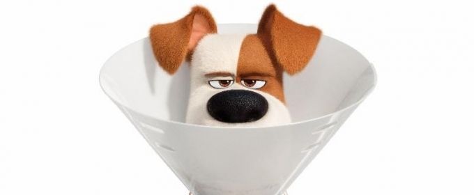 VIDEO: Watch the Trailer for THE SECRET LIFE OF PETS 2 Video