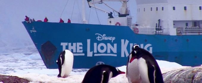April 1 - THE LION KING Will Become First Musical to Play Seven Continents… Video