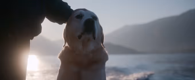 VIDEO: Watch the Official Trailer for Netflix Documentary Series DOGS Video