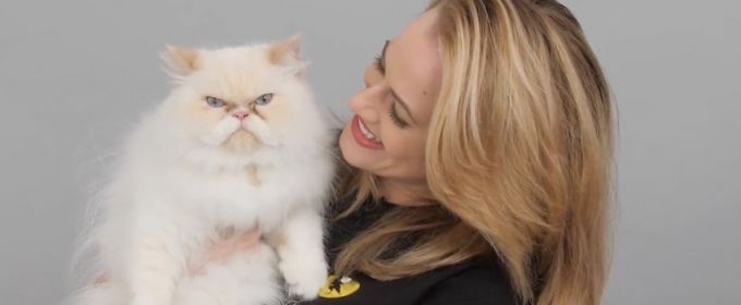 VIDEO: Broadway's CATS Supports Shelter Felines, Pet Adoption in New Campaign Video