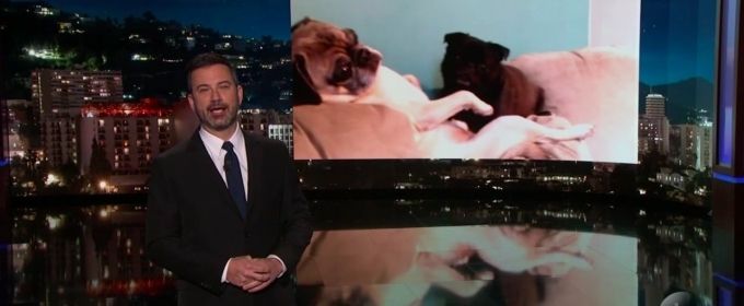 VIDEO: Dogs Predict Every March Madness Game on JIMMY KIMMEL LIVE Video