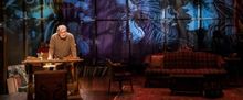 Dan Lauria Talks Creative Madness in THE STONE WITCH, Joining THIS IS US, and More