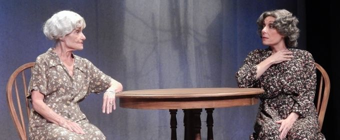 Photo Flash: First Look at FROM DOOR TO DOOR at Stage Door Theatre Photos