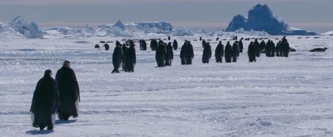 VIDEO: Sneak Peek - Hul Premieres Documentary MARCH OF THE PENGUINS 2: THE NEXT STEP Video