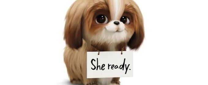 VIDEO: Watch the Daisy Trailer for THE SECRET LIFE OF PETS 2 Video