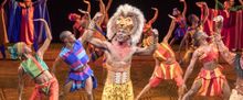 Flash: THE LION KING Comes to Dallas Summer Musicals