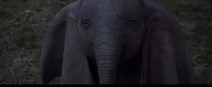 VIDEO: See An Elephant Fly In the Official Trailer for Tim Burton's DUMBO! Video