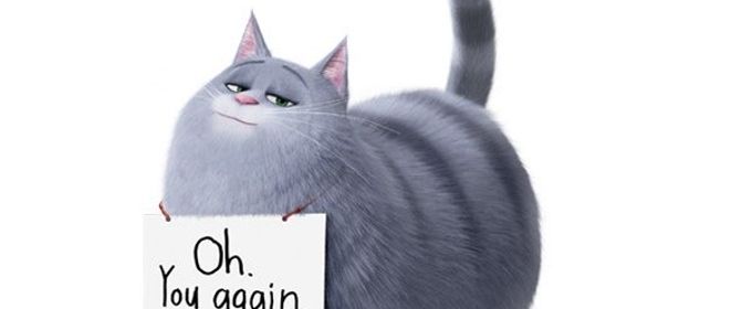 VIDEO: See Chloe in the Trailer for THE SECRET LIFE OF PETS 2 Video