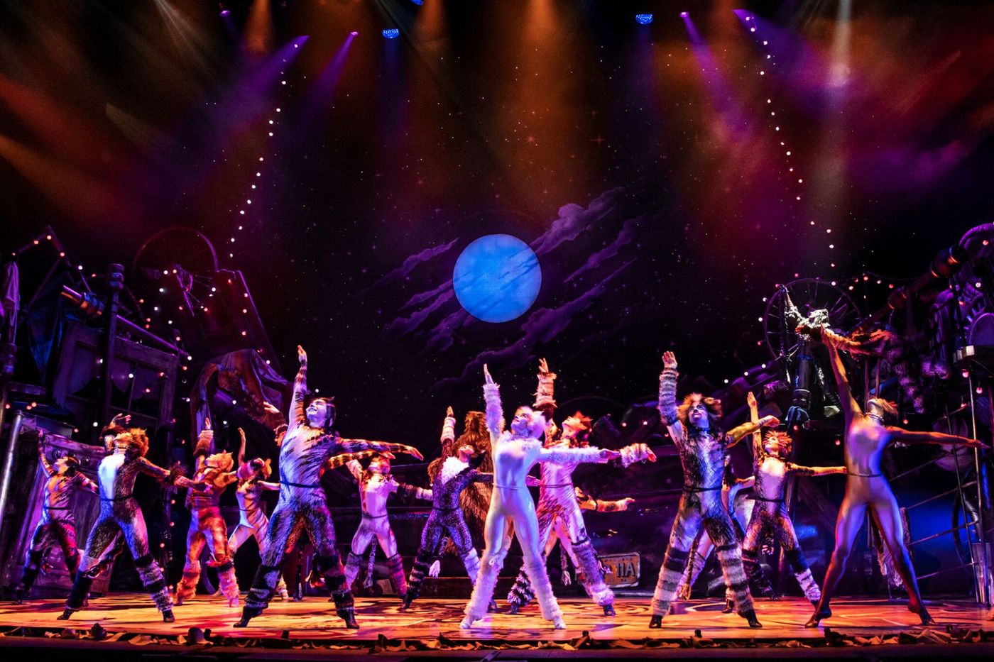 Review: CATS is Still the Cat's Meow  Image