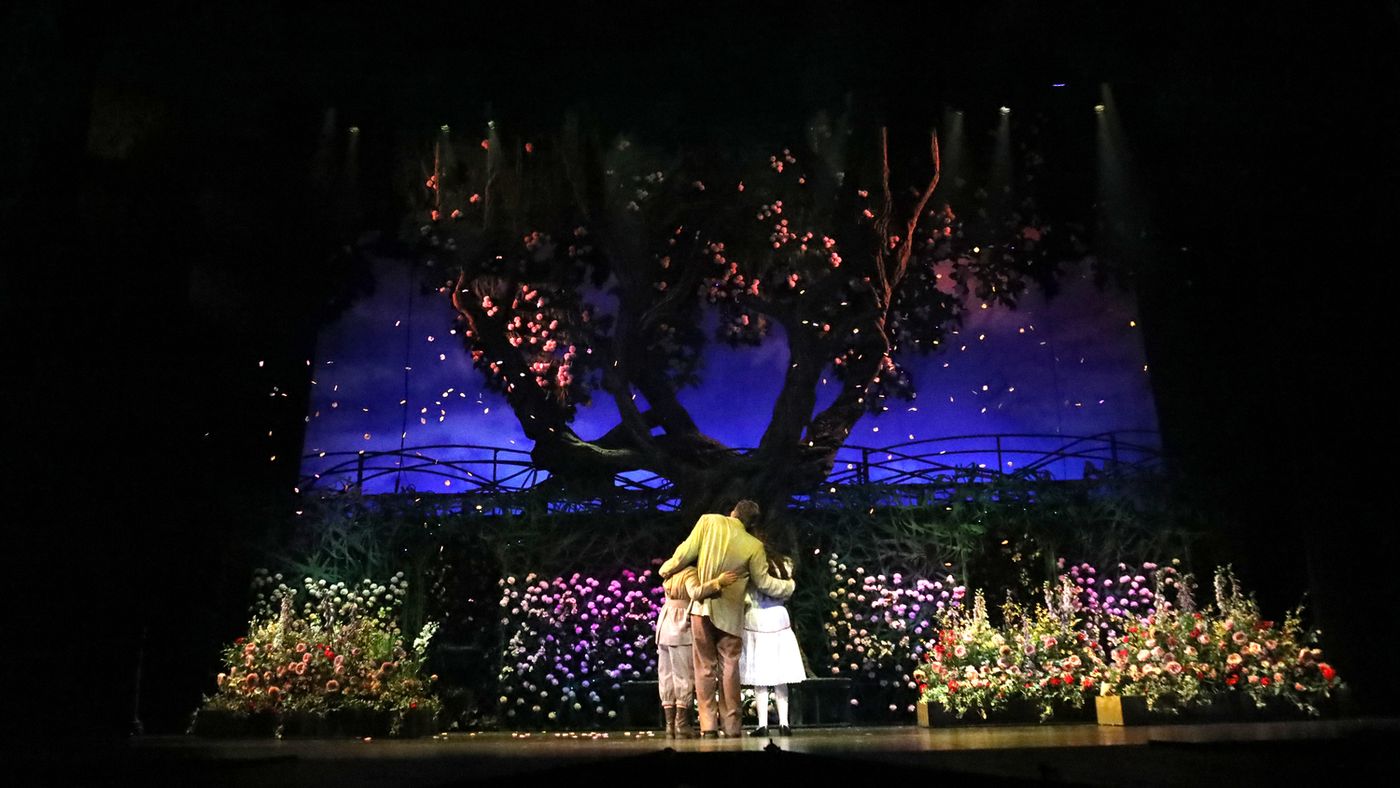 Review: THE SECRET GARDEN Mesmerizes Houston Audiences as Theatre Under The Stars' 49th Season Opener  Image