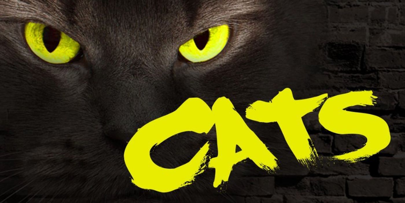 CATS Playing At Bruce Mason Centre 4/20!  Image