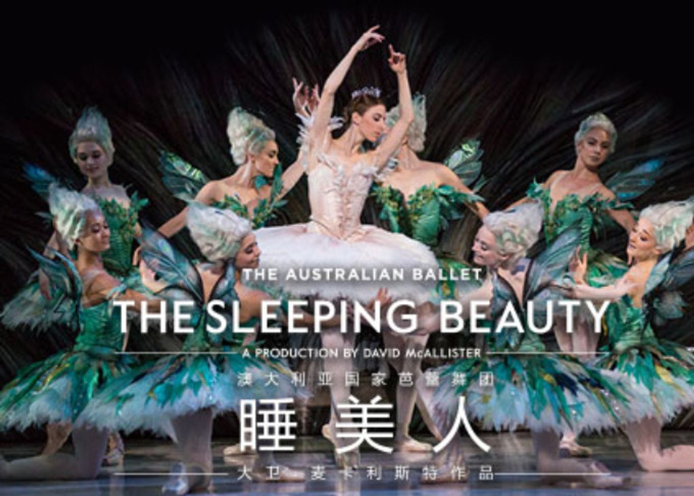 THE SLEEPING BEAUTY BALLET at National Centre For The Performing Arts  Image