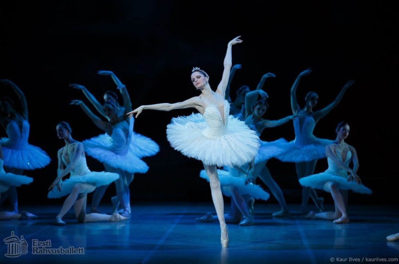 SWAN LAKE Comes To Estonian National Opera Next Month  Image