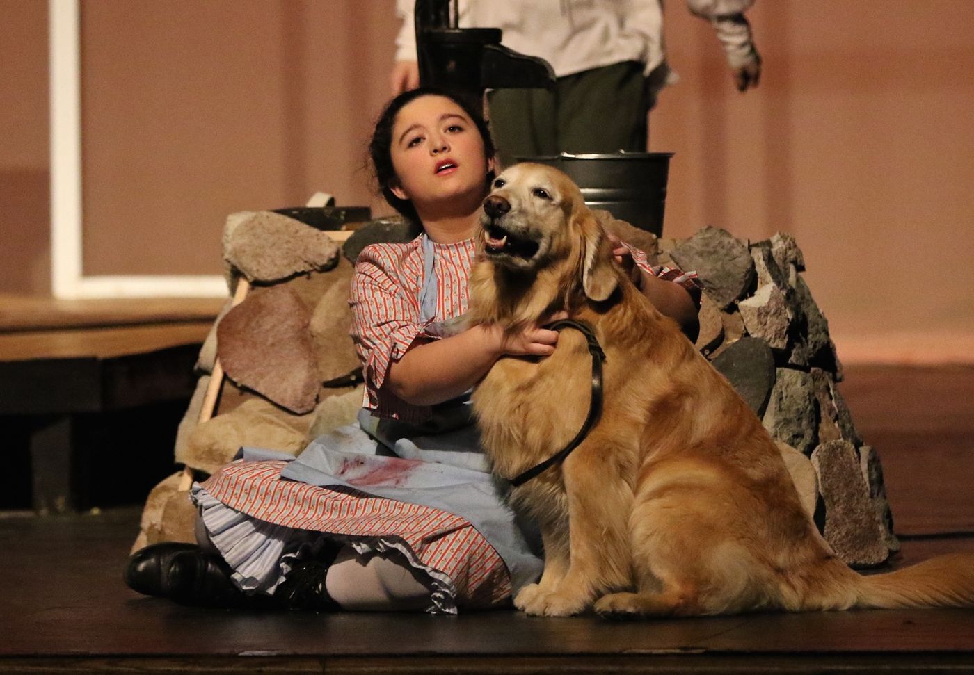 Review: THE MIRACLE WORKER at Moorhead High Theatre  Image