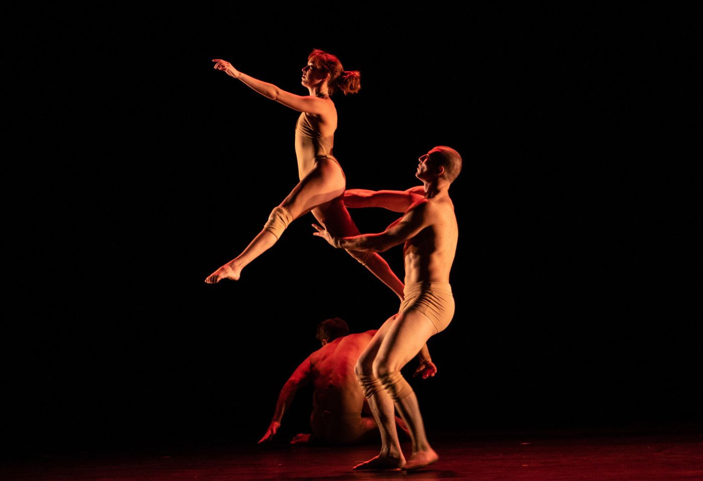 Review: New Life: PILOBOLUS: BRANCHES at Veterans Auditorium Review: New Life: PILOBOLUS: BRANCHES at Veterans Auditorium Image