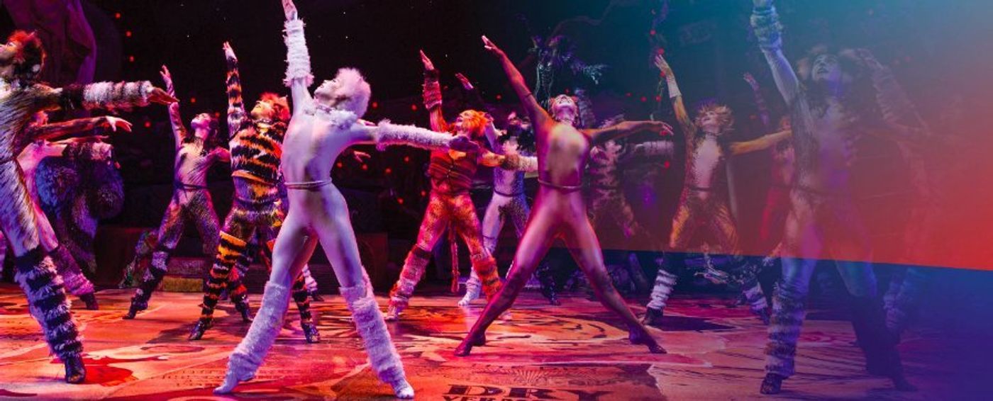 CATS Comes to Walton Arts Center 5/28 - 6/2! CATS Comes to Walton Arts Center 5/28 - 6/2! Image