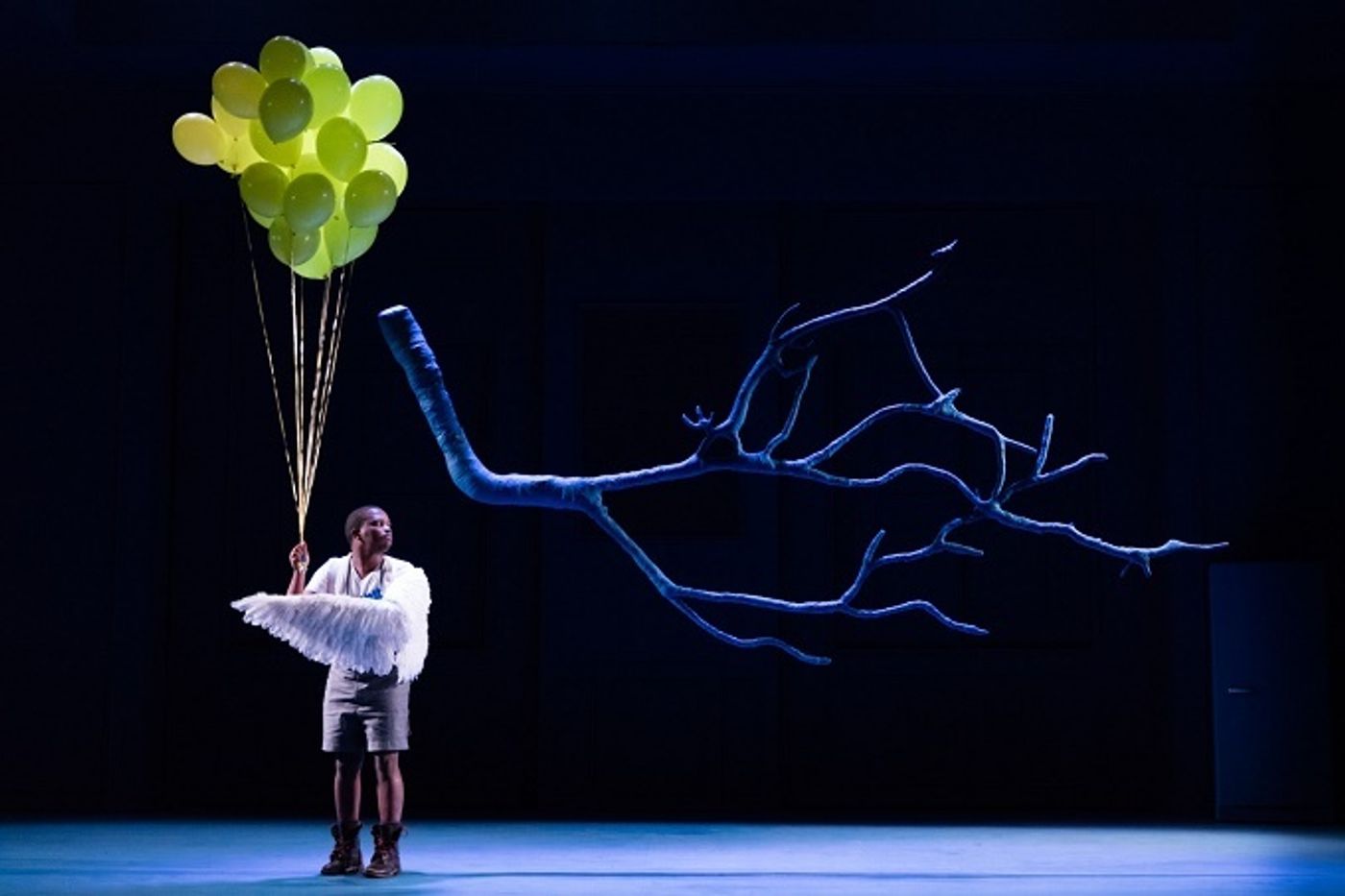 Brandon Phillips To Conduct Debut Cape Town Opera Performance with THE MAGIC FLUTE  Image