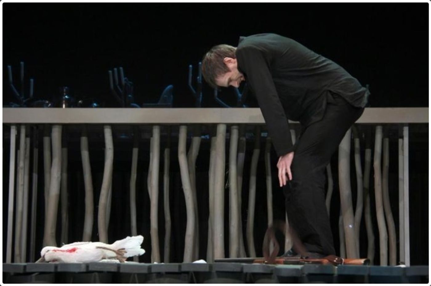 Review: THE SEAGULL 73458 at Taganka Theatre  Image