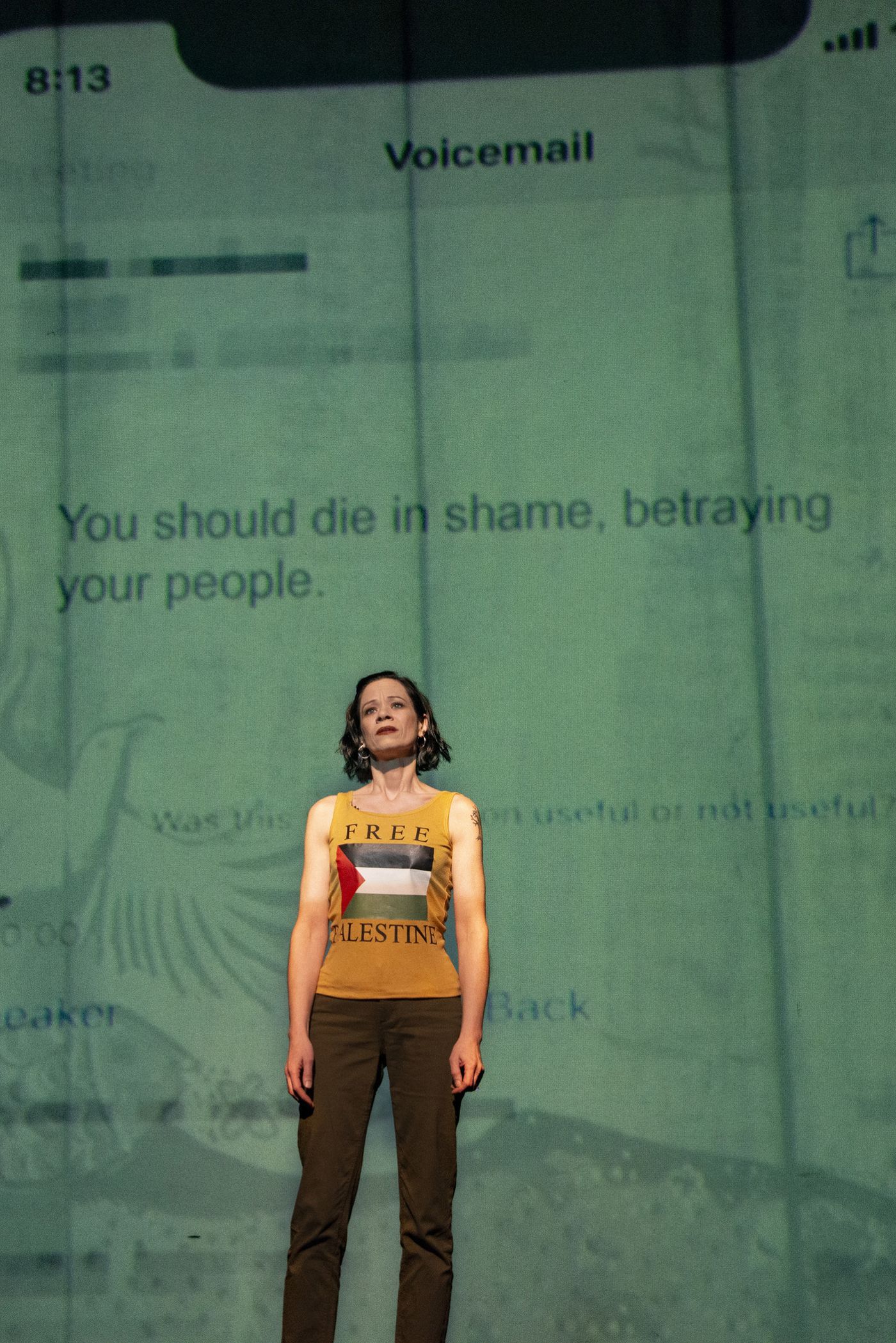 Review: SHAME 2.0 (WITH COMMENTS FROM THE POPULACE) at Mosaic Theater Company  Image