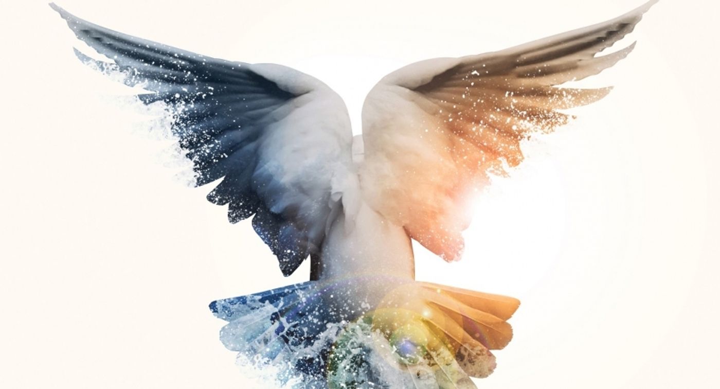 Review: THE DISTANCE YOU HAVE COME, The Cockpit Review: THE DISTANCE YOU HAVE COME, The Cockpit Image