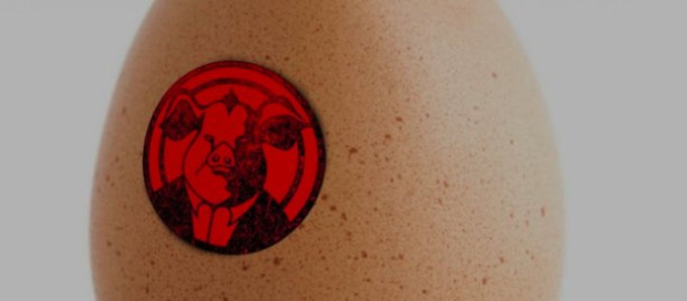 ANIMAL FARM Comes to Zorlu Performing Arts Center Today!  Image