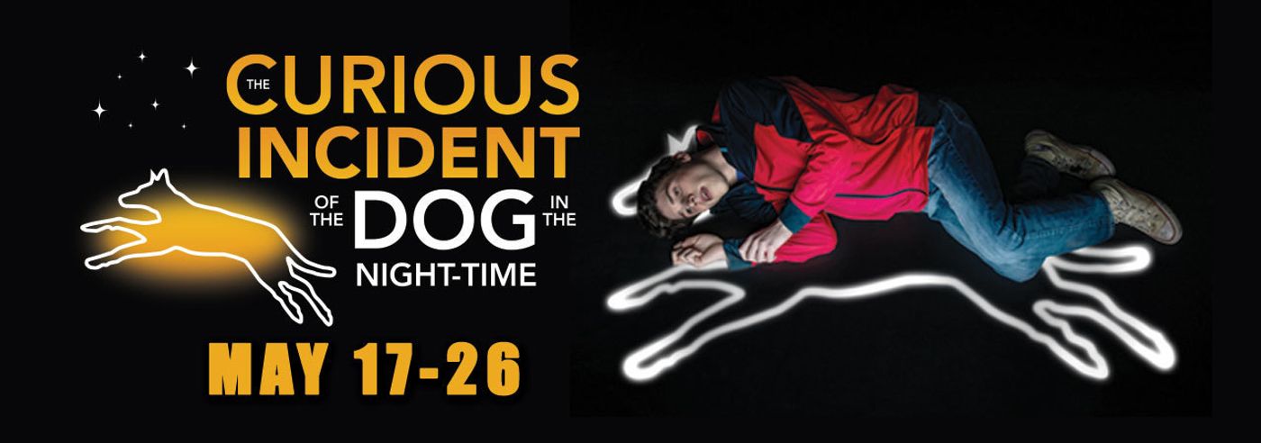 Review: THE CURIOUS INCIDENT OF THE DOG IN THE NIGHT-TIME at Theatre Tulsa  Image