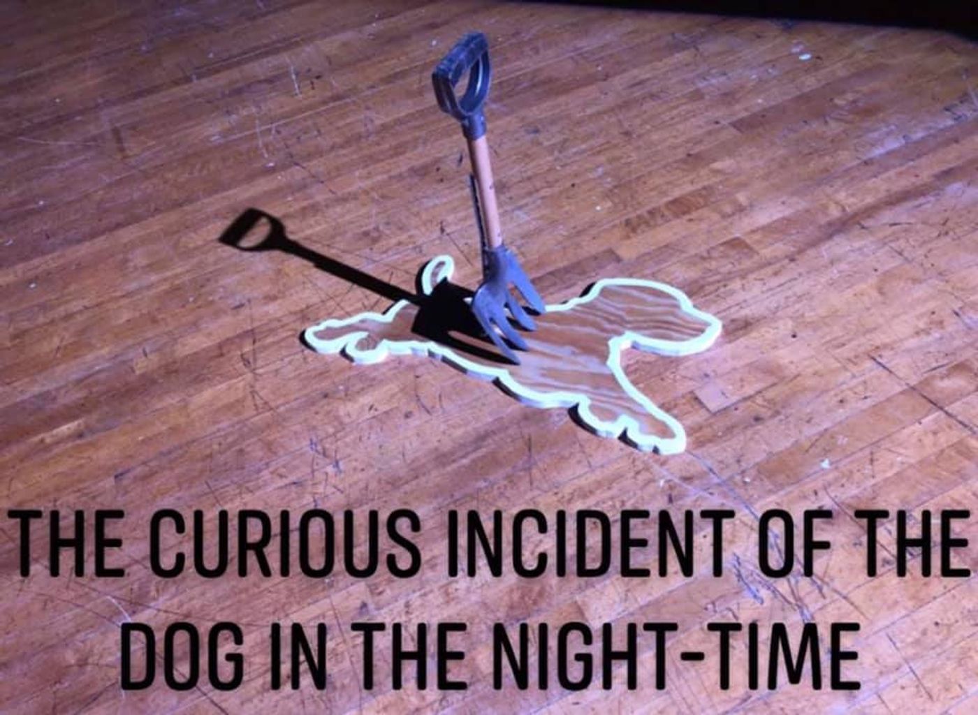 Review: THE CURIOUS INCIDENT OF THE DOG IN THE NIGHT-TIME at Wichita Community Theatre  Image