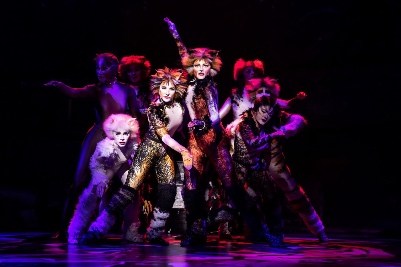 Review: CATS at Popejoy Hall  Image
