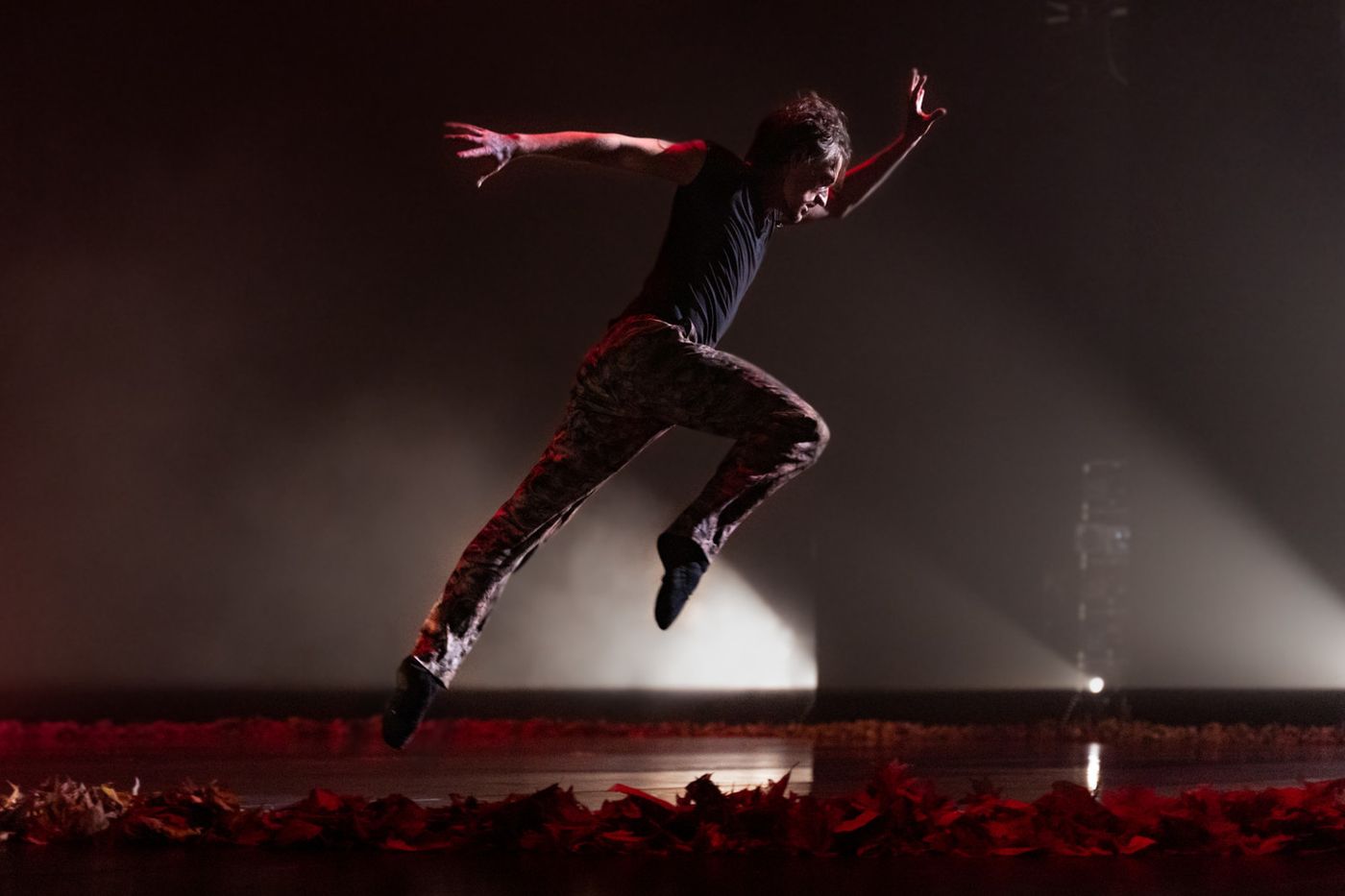 Review: SERGEI POLUNIN, London Palladium  Image