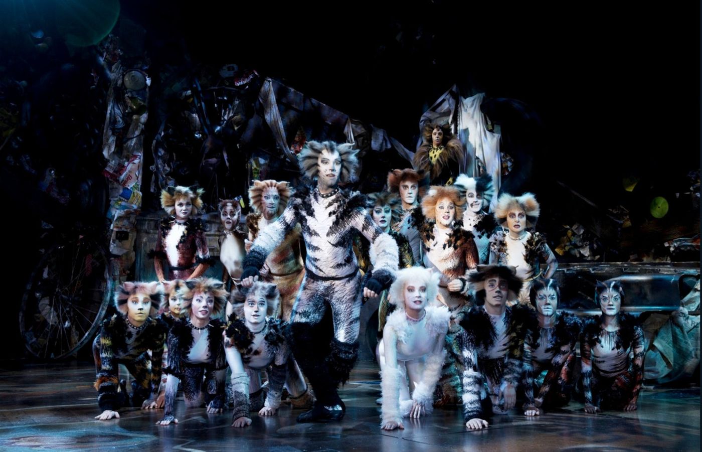CATS to Premiere at The Ronacher Fall 2019  Image
