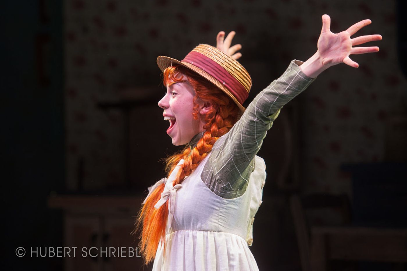 Review: ANNE OF GREEN GABLES at Weston Playhouse Theatre Company Review: ANNE OF GREEN GABLES at Weston Playhouse Theatre Company Image