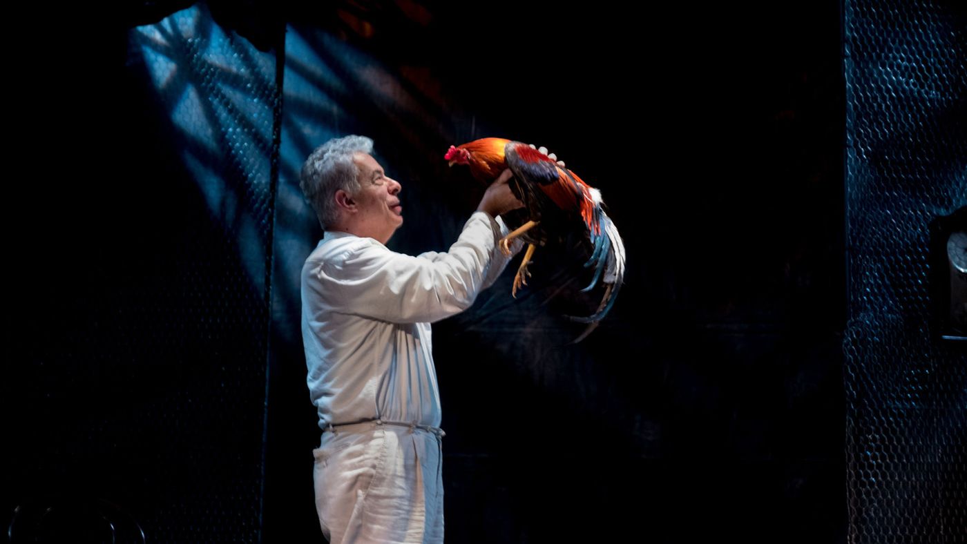 Review: EL CORONEL NO TIENE QUIEN LE ESCRIBA at Harlem Stage  Image