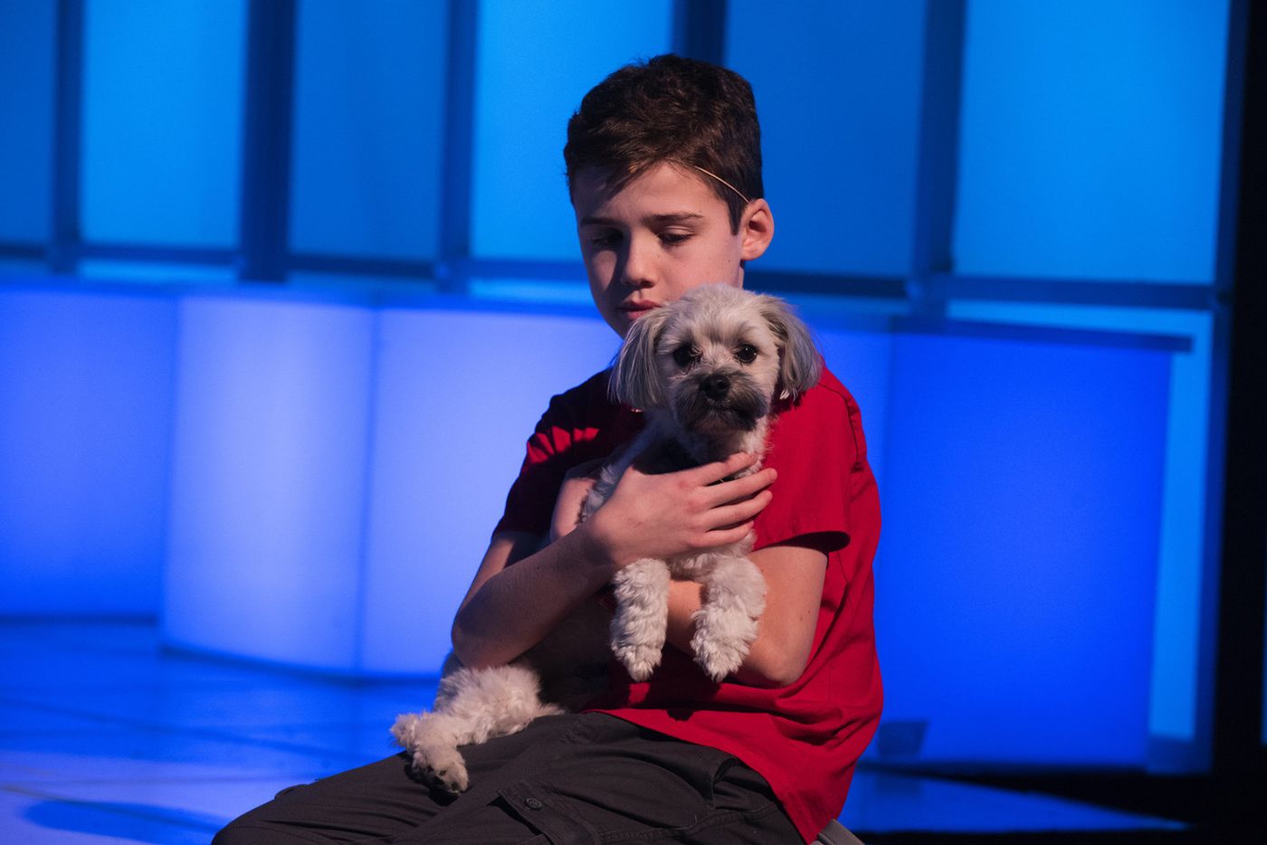 Interview: Dominic Torres of THE CURIOUS INCIDENT OF THE DOG IN THE NIGHT-TIME at Omaha Community Playhouse Interview: Dominic Torres of THE CURIOUS INCIDENT OF THE DOG IN THE NIGHT-TIME at Omaha Community Playhouse Image