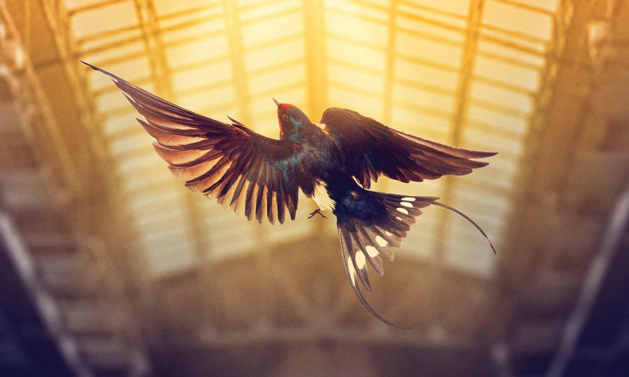 Feature: Previewing New Musical THE HAPPY PRINCE Image